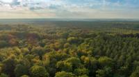 Brabantse Wouden_luchtfoto